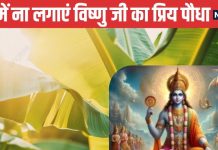 विष्णु जी को प्रिय ये पौधा, घर में लगाने की ना करें गलती वरना रूठ जाएंगी मां लक्ष्मी