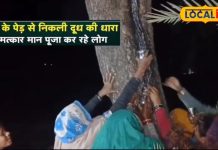 ‘हनुमान जी का है चमत्कार’, बरसों पुराना पेड़ अचानक देने लगा दूध, बर्तन भरकर घर ले जाने लगे लोग! कहा…