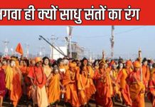 हिंदू साधुओं के भगवा वस्त्र का महत्व और पौराणिक कहानी – Bharat.one हिंदी