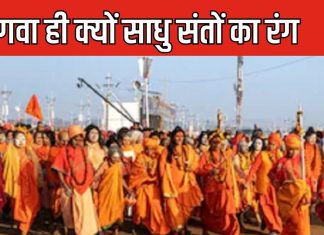 हिंदू साधुओं के भगवा वस्त्र का महत्व और पौराणिक कहानी – Bharat.one हिंदी