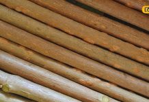 दांतों की हर समस्या का इलाज है ये नेचुरल Toothpaste, मुंह की बदबू करता है दूर