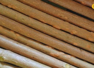 दांतों की हर समस्या का इलाज है ये नेचुरल Toothpaste, मुंह की बदबू करता है दूर