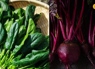 खून की कमी और मोटापे से हैं परेशान? ये 8 घरेलू नुस्खे देंगे गजब की ताकत