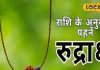 1 मुखी से 14 मुखी तक…! राशि के अनुसार कौन सा रुद्राक्ष है शुभ? जानें जरूरी नियम और महत्व