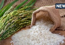 1 मुट्ठी चावल का ये उपाय बनाएगा आपको मालामाल! दूर होगी आर्थिक तंगी, मिलेगा मां लक्ष्मी का आशीर्वाद!