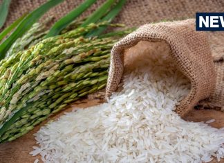 1 मुट्ठी चावल का ये उपाय बनाएगा आपको मालामाल! दूर होगी आर्थिक तंगी, मिलेगा मां लक्ष्मी का आशीर्वाद!