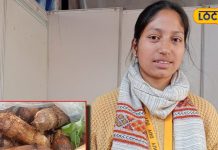 राजमा हो या पराठा, अरबी के अचार के बिना मजा अधूरा, पहाड़ी मसालों से होता है तैयार