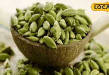 लौंग, दालचीनी और अदरक में जीवाणुरोधी गुण, पाचन क्रिया को करता है मजबूत – Bharat.one हिंदी