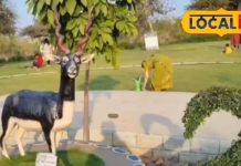 खूबसूरत नज़ारों के साथ ट्रेकिंग और कैंपिंग का उठाना चाहते हैं लुत्फ, तो हैदराबाद का फॉरेस्ट ट्रेक पार्क है परफेक्ट!