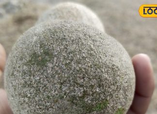 अनार-सेव नहीं, गर्भवती महिलाओं का फेवरेट है ये फल, सेहत के लिए भी रामबाण!