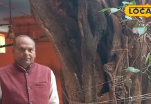 5 हजार साल पुराना है यह पेड़, इसमें दिखाई देते हैं साक्षात भगवान गणेश, दर्शन से होती है संतान प्राप्ति!