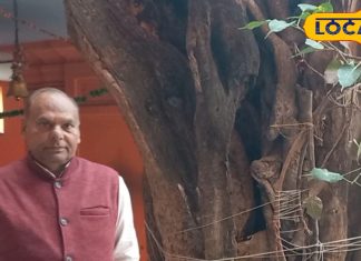 5 हजार साल पुराना है यह पेड़, इसमें दिखाई देते हैं साक्षात भगवान गणेश, दर्शन से होती है संतान प्राप्ति!