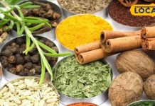 इस बीमारी को परिवार से छुपाते हैं?सर्जरी की जरूरत नहीं,आयुर्वेद से मिलेगी राहत