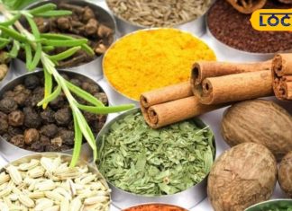 इस बीमारी को परिवार से छुपाते हैं?सर्जरी की जरूरत नहीं,आयुर्वेद से मिलेगी राहत