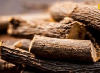 डेली रूटीन में शामिल करें ये जड़ी-बू़टी, कमजोरी रहेगी कोसों दूर