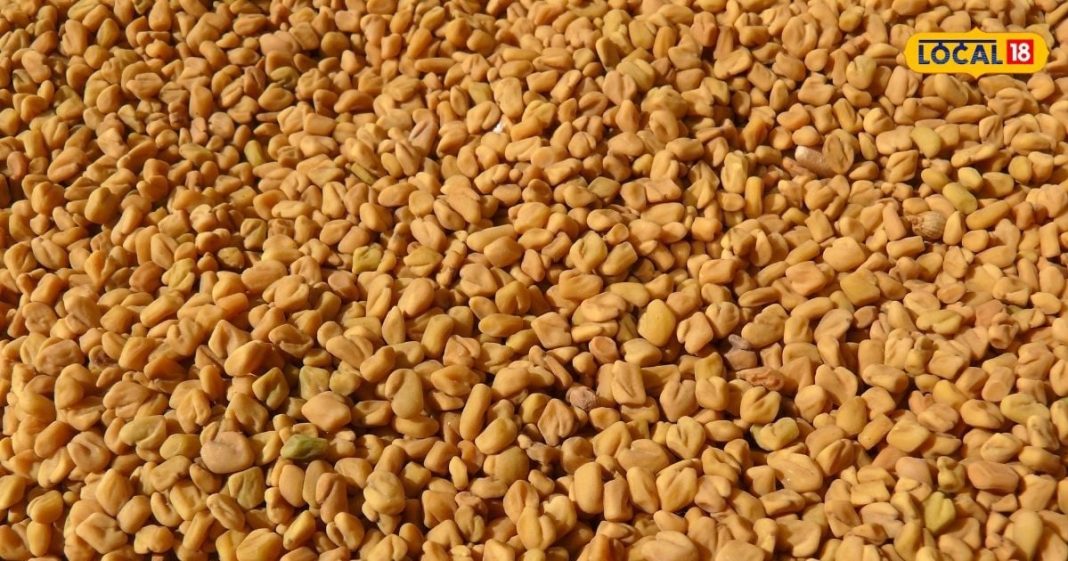 सुबह खाली पेट पिएं ये खास पानी, वजन से लेकर शुगर तक होगा कंट्रोल