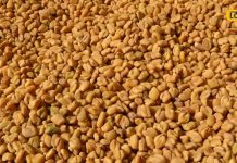 सुबह खाली पेट पिएं ये खास पानी, वजन से लेकर शुगर तक होगा कंट्रोल