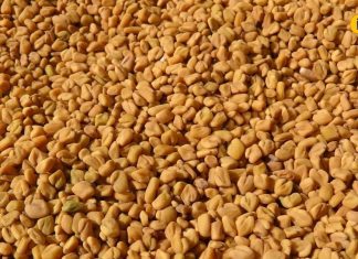 सुबह खाली पेट पिएं ये खास पानी, वजन से लेकर शुगर तक होगा कंट्रोल