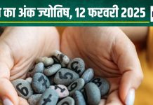 Ank Jyotish 12 February 2025: आज रहें सावधान, नहीं तो खो सकती है कोई कीमती चीज, अपना ही देगा धोखा! जानें अपना अंकफल