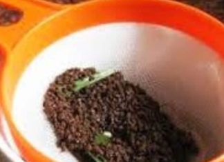 Astrological Remedy: बार-बार एक्सीडेंट और लम्बी बीमारी से जूझ रहा है परिवार? करें ये आसान उपाय! तुरंत होगा लाभ