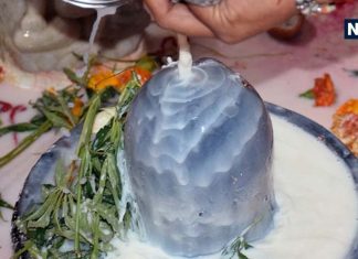 Bhaum Pradosh Vrat 2025: भौम प्रदोष व्रत पर शिव जी को अर्पित करें ये चीज, धन लाभ सहित व्यापार में होगी बढ़ोत्तरी!