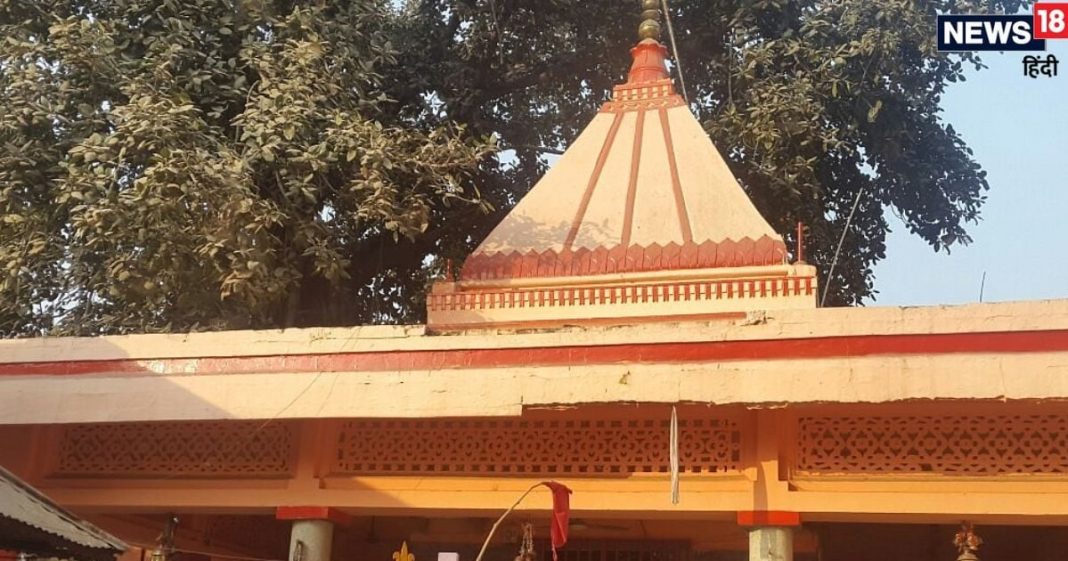 Bodeshwar Mandir: इस मंदिर में आधी रात को आते हैं हजारों सांप, बड़े से बड़े रोग से भी मिलती है मुक्ति ! जानें क्या है इसके पीछे का रहस्य