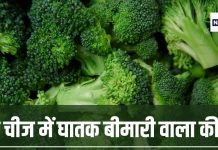 इस सब्जी को खाने में महासंकट, मौत तक का खतरा, अमेरिका ने कर दिया बैन, यह है कारण