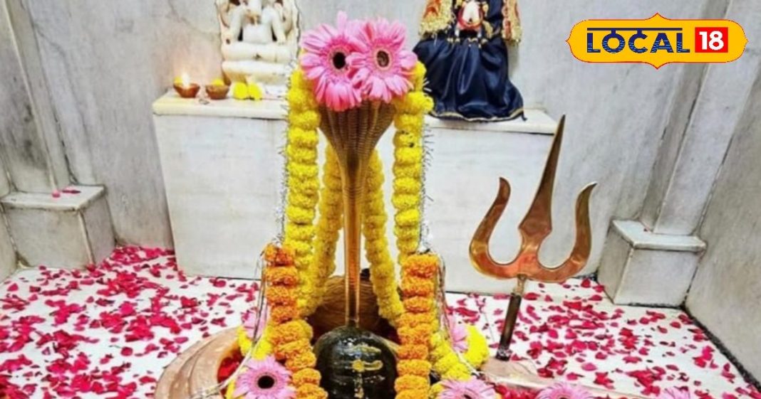 Chhattisgarh’s Budheshwar Mahadev temple is 1300 years old, its appearance changes every day, see picture – Bharat.one हिंदी