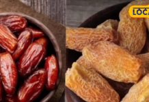 कमजोर हड्डियों को फौलाद बना देगा ये ड्राईफ्रूट, नहीं होगी खून की कमी, बस जान लें..कब भिगोकर खाएं, कब सूखा