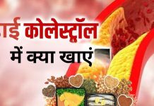 शरीर में उफनते बदगुमान कोलेस्ट्रॉल को दूर करेंगे ये 5 फूड, हार्वर्ड के डॉक्टरों ने भी माना लोहा, जानें क्या हैं ये