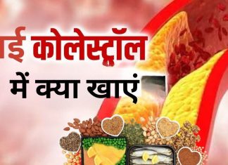 शरीर में उफनते बदगुमान कोलेस्ट्रॉल को दूर करेंगे ये 5 फूड, हार्वर्ड के डॉक्टरों ने भी माना लोहा, जानें क्या हैं ये