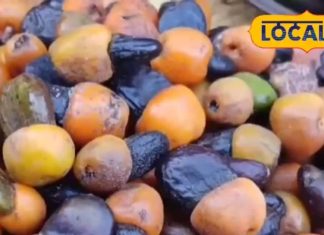 पेट दर्द का रामबाण इलाज! साल में सिर्फ 2 महीने मिलता है यह जंगली फल; कुछ ही मिनट में मिलेगा आराम