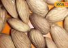 बादाम कैसे खाना चाहिए? साबूत या छिलका हाटकर…एक्सपर्ट से जानें सही तरीका और फायदे