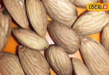 बादाम कैसे खाना चाहिए? साबूत या छिलका हाटकर…एक्सपर्ट से जानें सही तरीका और फायदे