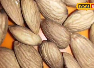 बादाम कैसे खाना चाहिए? साबूत या छिलका हाटकर…एक्सपर्ट से जानें सही तरीका और फायदे