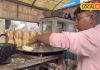 पाली में चाहिए मुंबई जैसा वड़ा पाव का स्वाद, तो पहुंच जाइए नेक राम की दुकान, शौकीनों लगी रहती है लाइन