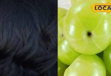 Hair Care Tips : अगर आप भी चाहते हैं घने, काले बाल तो इस चीज का शुरू कर दें सेवन