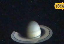 Vrishchik Rashifal: धन प्राप्ति का बन रहा है योग, कोई इच्छा हो सकती है पूरी, परेशानियों से बचने के लिए करें ये उपाय!