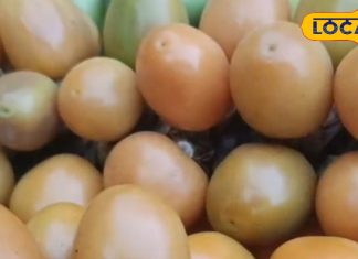 छोटा सा दिखने वाला ये जंगली फल है सेहत की दुकान, एक-दो नहीं दस बीमारियों से दिलाता है निजात!