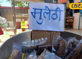 लकड़ी जैसी दिखने वाली जड़ी-बूटी मुलेठी, बीमारियों को कर देगी जड़ से खत्म!