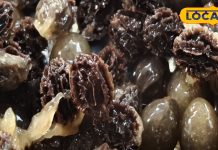 ये नन्हे-नन्हे बीज हैं बहुत चमत्कारी…शुगर के मरीजों के लिए वरदान, विटामिन-मिनरल्स की दुकान! जानें फायदे – Bharat.one हिंदी