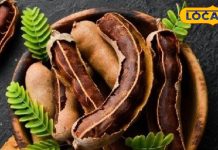 नहीं पता होंगे आपको खट्टी इमली के ये जादुई गुण, डाइजेशन, डायबिटीज, कोलेस्ट्रोल, वेट लॉस, सबके लिए रामबाण!