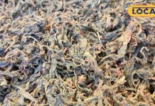 बताइए..रस्सी बनाने वाले पौधे की बना देते हैं भाजी, स्वाद के लोग दीवाने, फायदे जानकर आप भी करेंगे ट्राई