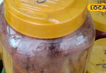 Bamboo Pickle: इस अचार के आगे आम-नींबू भी भरते हैं पानी, सरस मेले में बटोरी वाहवाही, चखे बिना रह नहीं पाएंगे