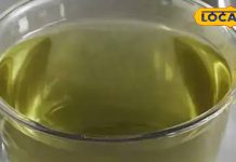 सेहत के लिए कितना फायदेमंद है ग्रीन टी, क्या वाकई वजन करता है कंट्रोल, जानें क्या कहते हैं एक्सपर्ट