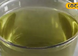 सेहत के लिए कितना फायदेमंद है ग्रीन टी, क्या वाकई वजन करता है कंट्रोल, जानें क्या कहते हैं एक्सपर्ट