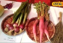 Health Tips: जबरदस्त चीज है ये 3 नुस्खा… शरीर में कभी नहीं होगी खून की कमी, बीमारियां रहेंगी कोसों दूर