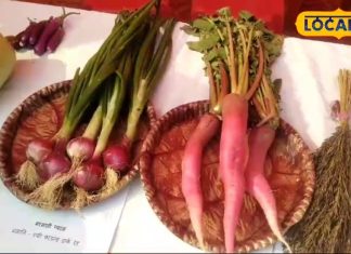 Health Tips: जबरदस्त चीज है ये 3 नुस्खा… शरीर में कभी नहीं होगी खून की कमी, बीमारियां रहेंगी कोसों दूर