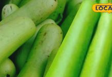 पनीर या वेज नहीं! इस वीकेंड ट्राई करें लौकी के मोमोज, भूल जाएंगे नॉनवेज का स्वाद