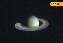 Scorpio zodiac people will have to be careful of water and animals today.